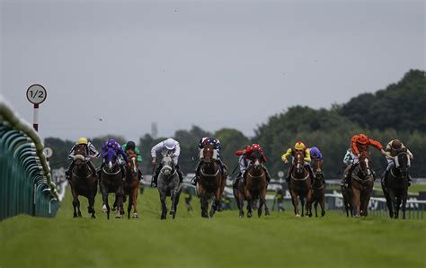 Best Bets & Tips for Haydock Park Horse Racing from Timeform.